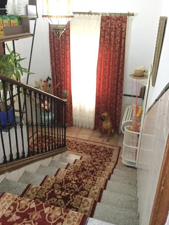Pension Zurita Granada Exteriör bild